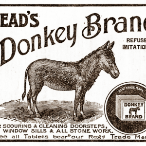Zijn ondernemers ezels?